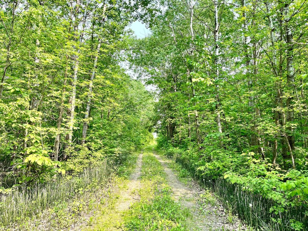 Photo of 37551 County Road 126, Rochert, MN 56578 (MLS # 7021437)