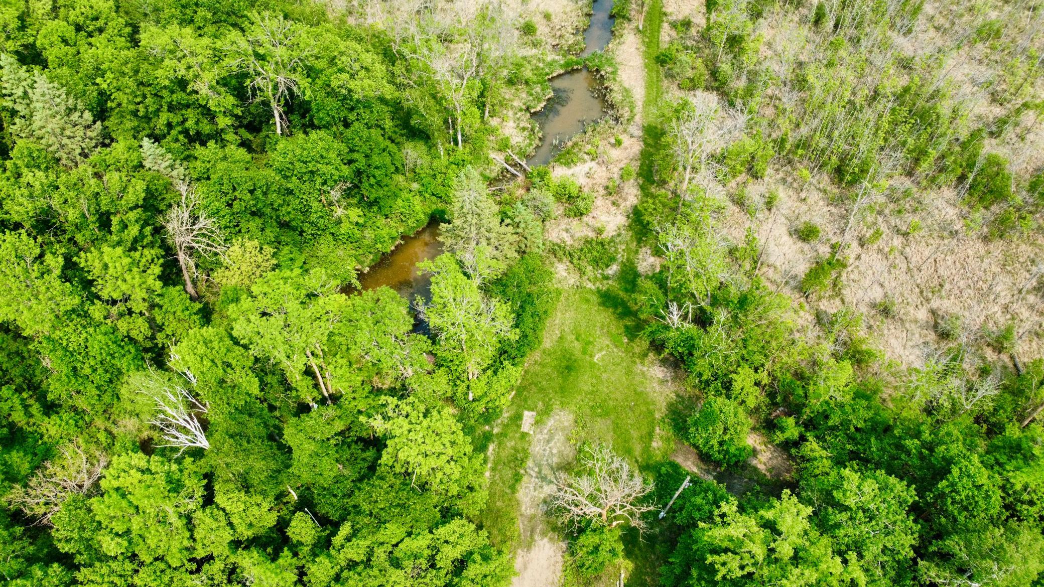 37551 County Road 126