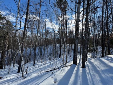 Lot 11 Firewood Trail Park Rapids MN 56470