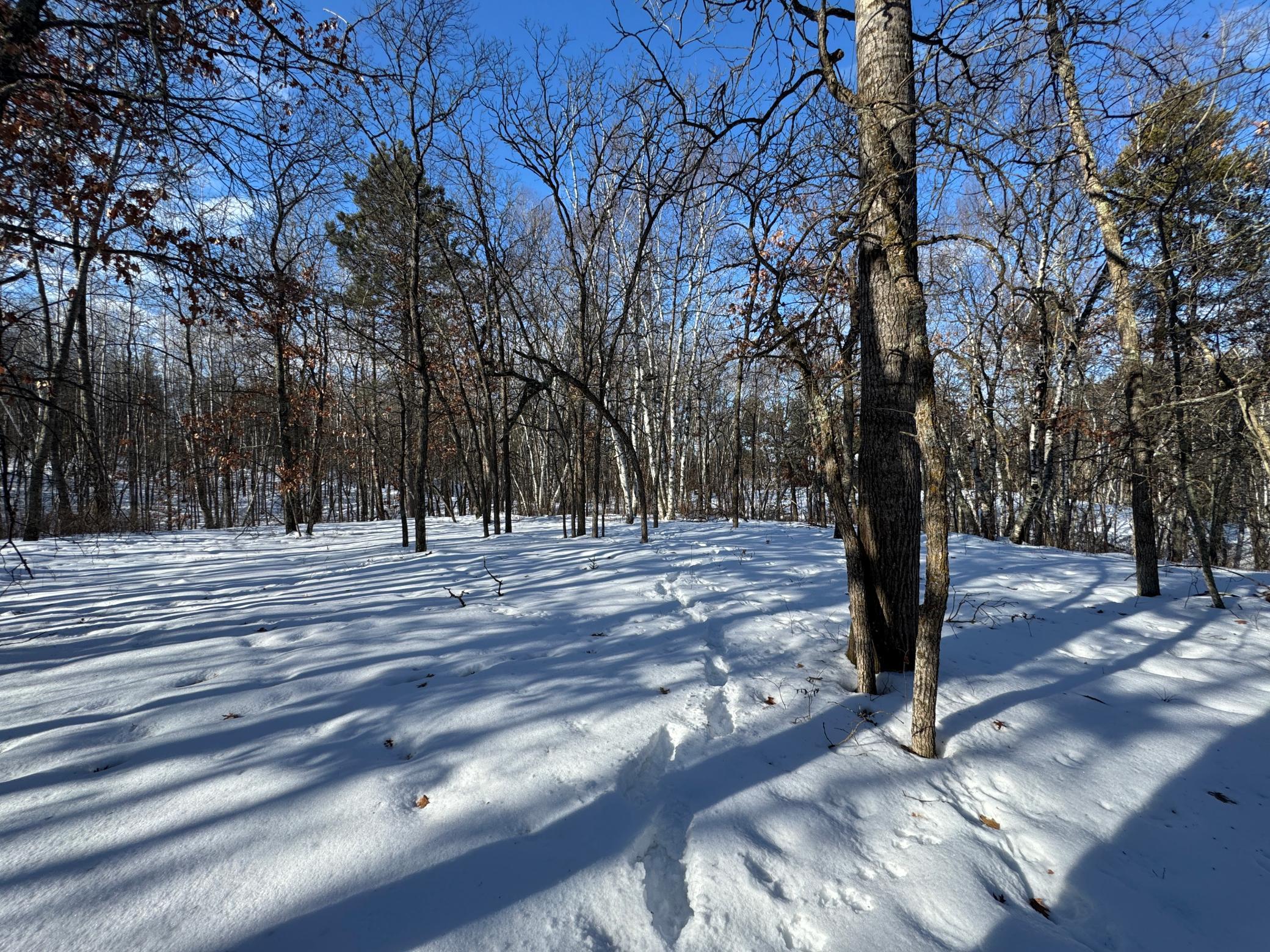 Lot 11 Firewood Trail