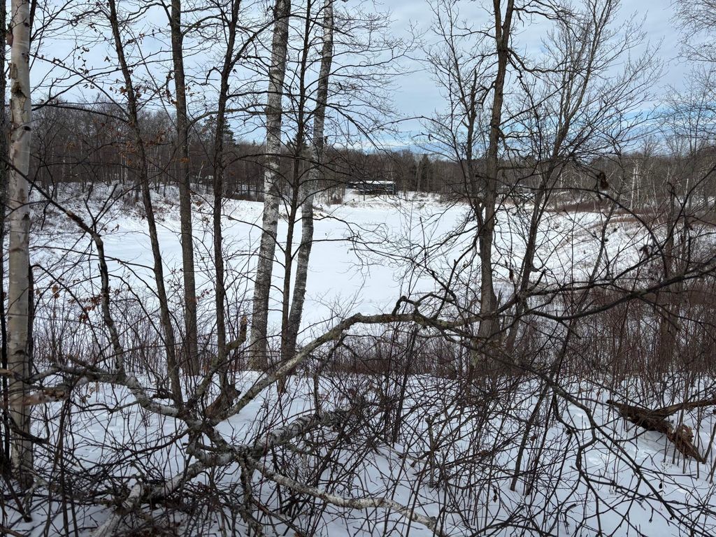 Photo of TBD Fawn Trail NE, Longville, MN 56655 (MLS # 7020428)