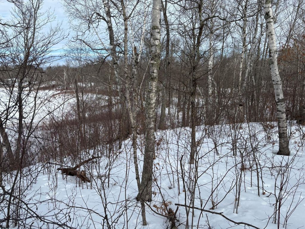 Photo of TBD Fawn Trail NE, Longville, MN 56655 (MLS # 7020428)