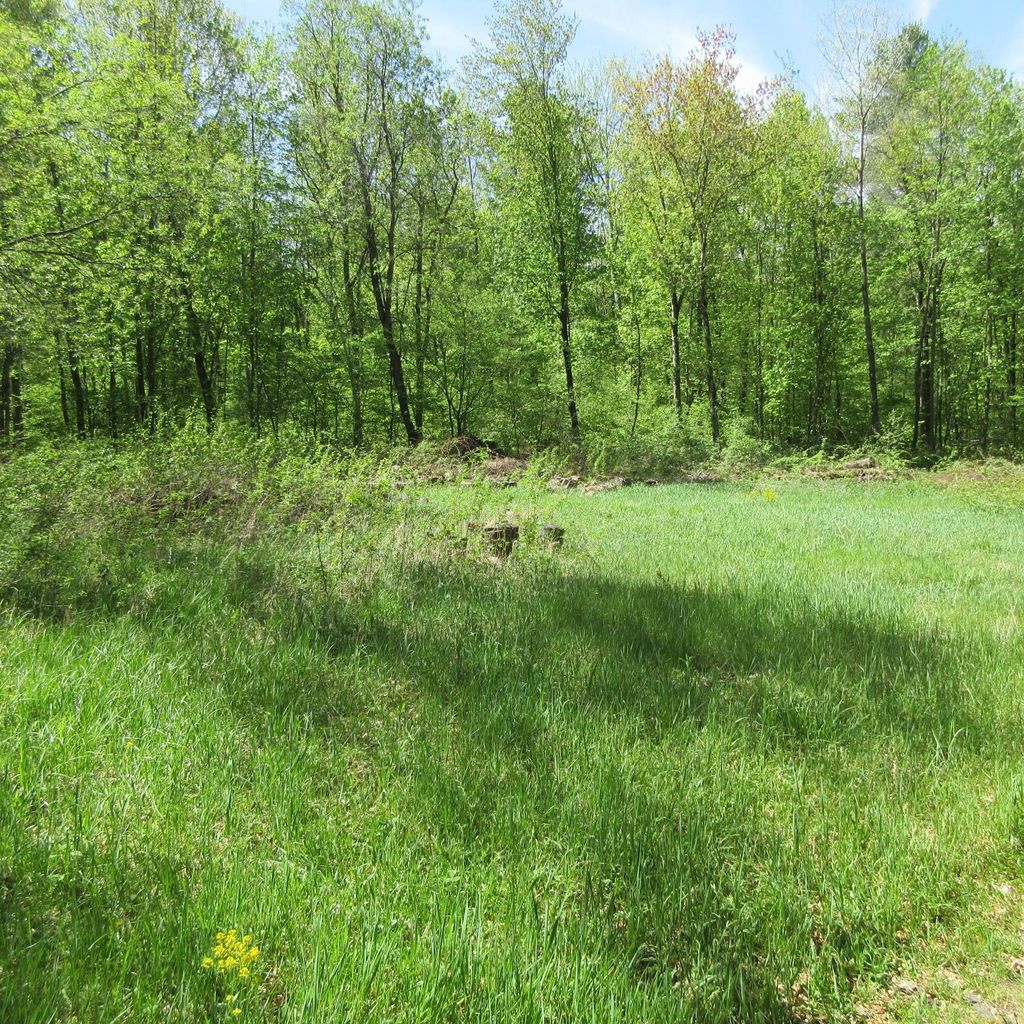 Photo of xxx 810th Street, Boyceville, WI 54751 (MLS # 7076176)