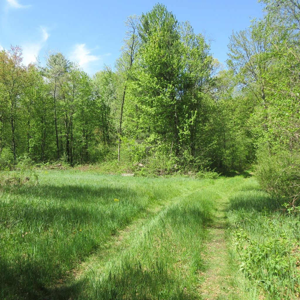 Photo of xxx 810th Street, Boyceville, WI 54751 (MLS # 7076176)