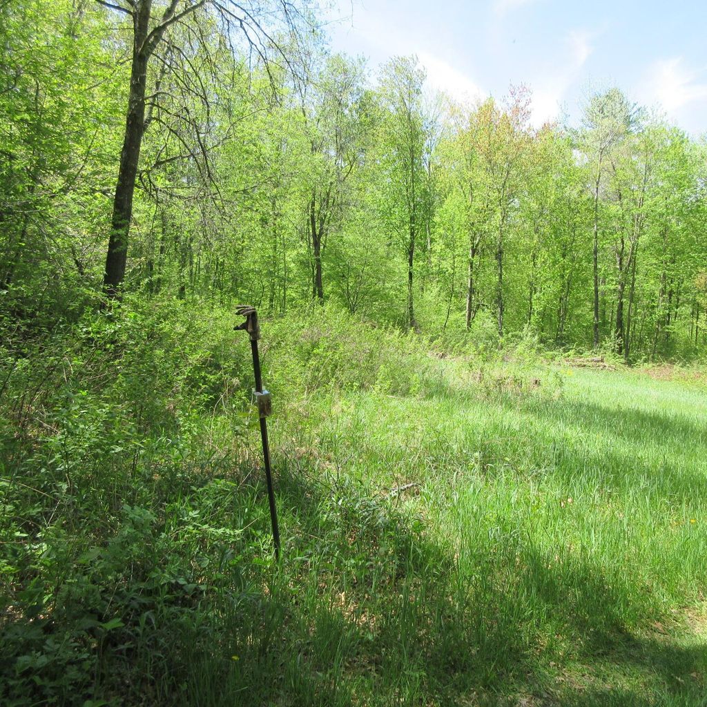 Photo of xxx 810th Street, Boyceville, WI 54751 (MLS # 7076176)