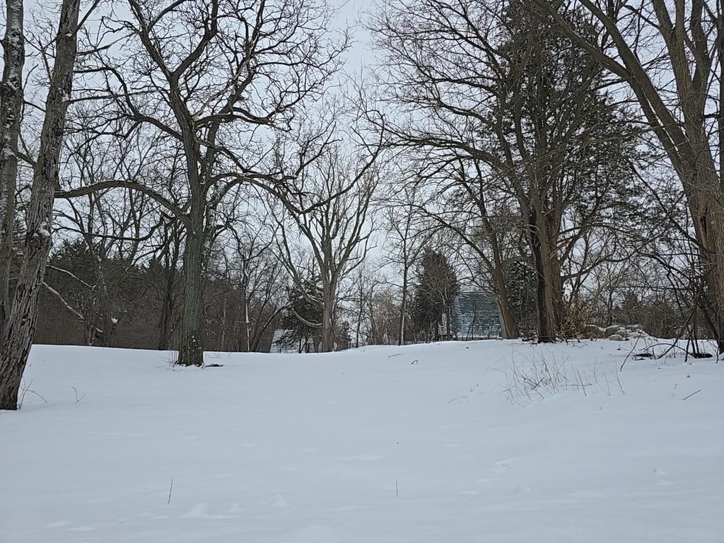 Photo of 14705 Glendale Road, Minnetonka, MN 55345 (MLS # 7004474)