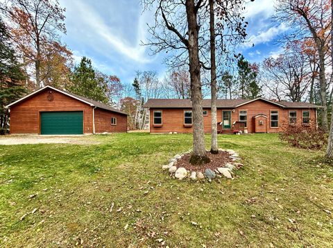 7995 Treefrog Drive NW Walker MN 56484