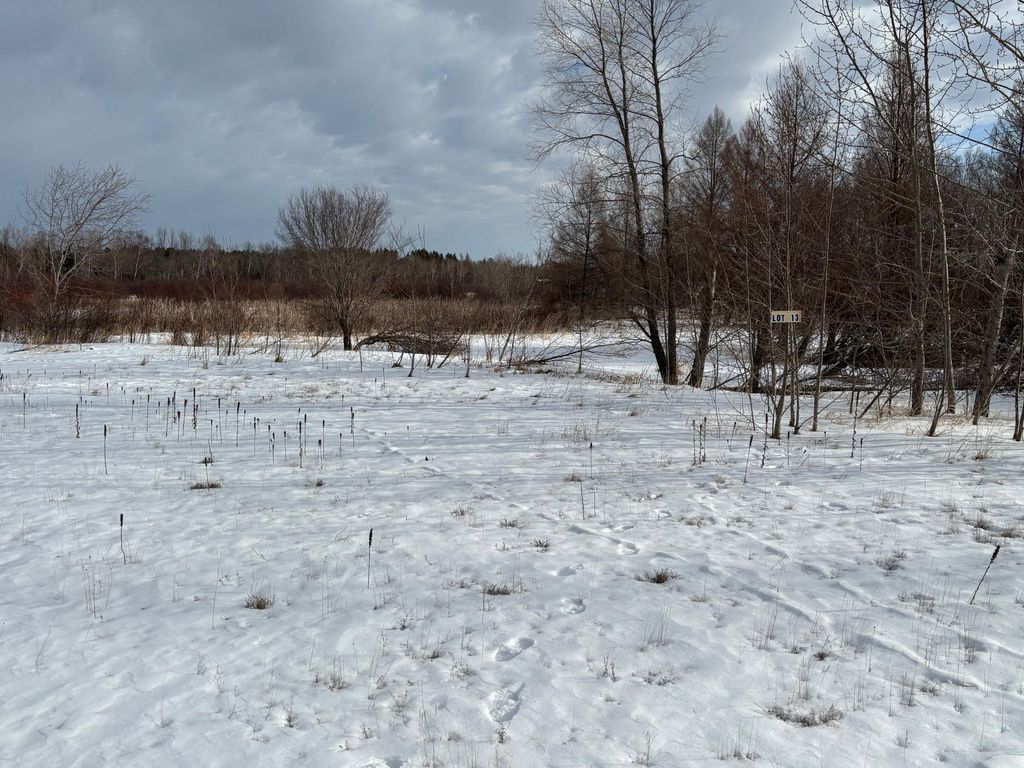 Photo of lot 13 Irvine Avenue NW, Bemidji, MN 56601 (MLS # 7048648)