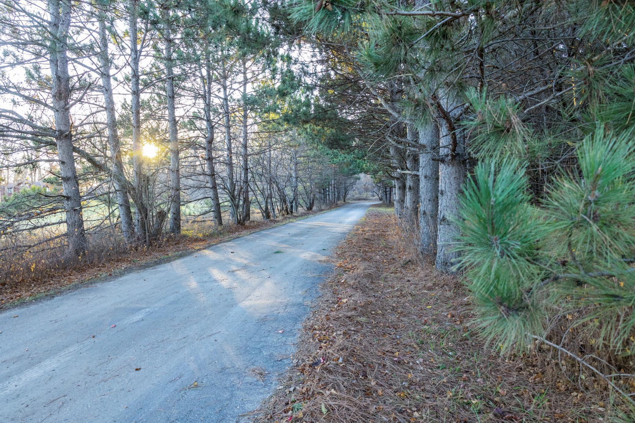 36915 Oak Point Drive