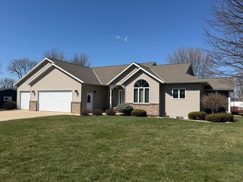 Photo of 599 Hope Street, Wabasso, MN 56293 (MLS # 7054956)