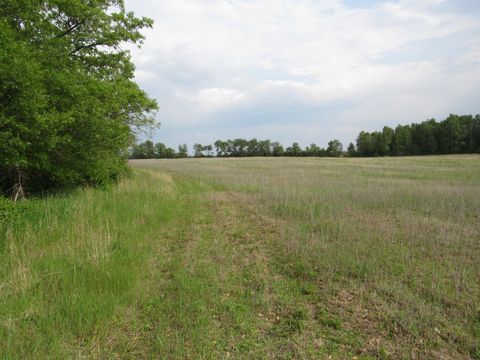 TBD PARCEL 12 32ND AVE SW Backus MN 56435