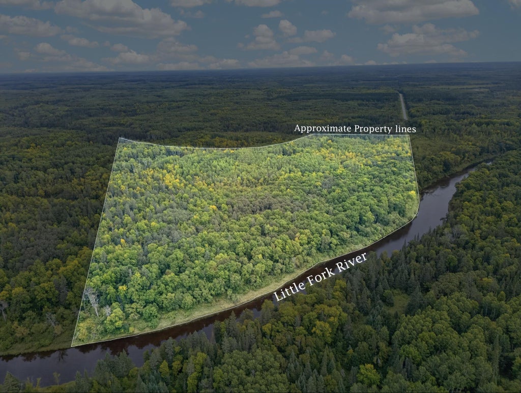 Photo of 7665 Highway 65, Littlefork, MN 56653 (MLS # 7132664)