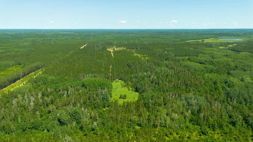 Photo of Tract 3 - TBD 259th Ave AVE, Menahga, MN 56464 (MLS # 7116326)