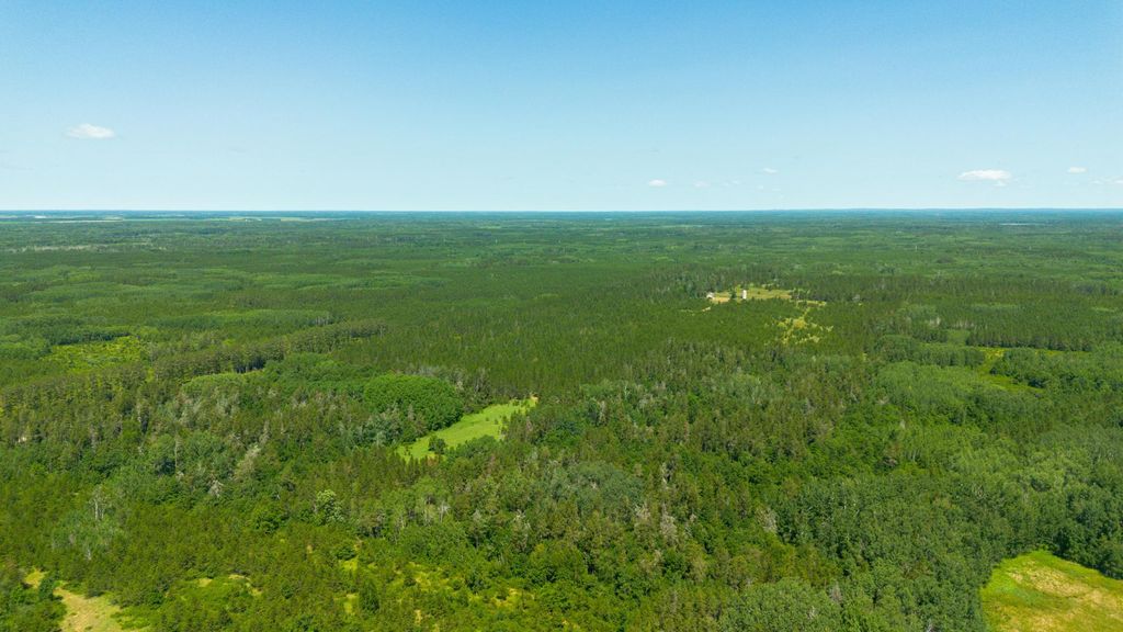 Photo of Tract 3 - TBD 259th Ave AVE, Menahga, MN 56464 (MLS # 7116326)