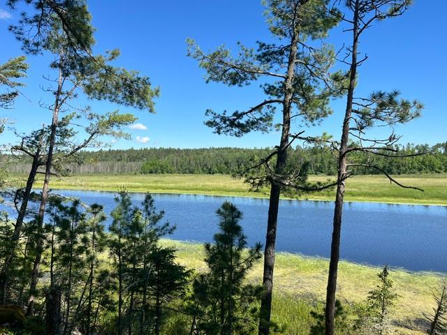 Photo of 7168 Gold Mine Road, Orr, MN 55771 (MLS # 7099836)