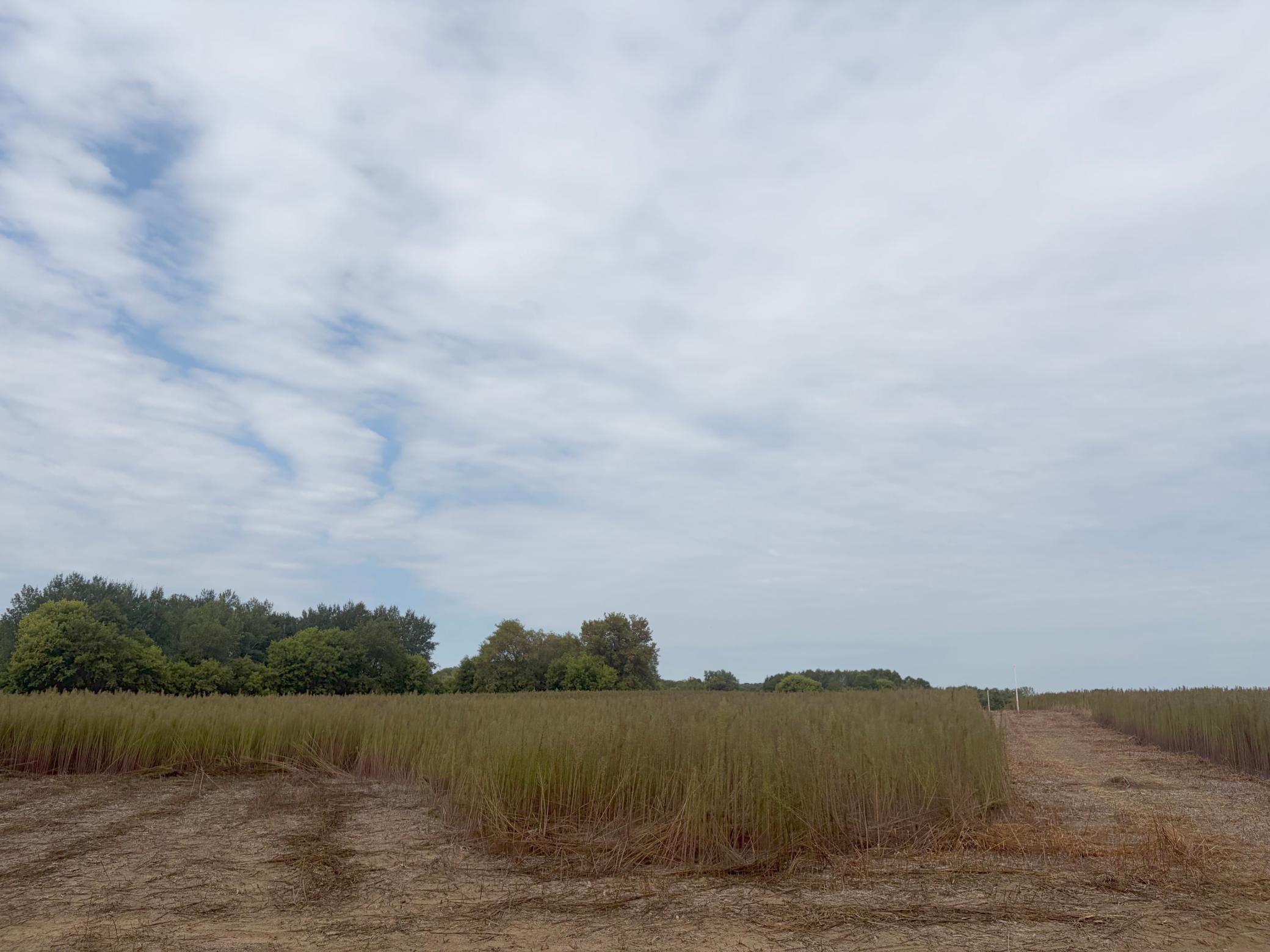 TBD (L1-SM East) 269th Avenue NW