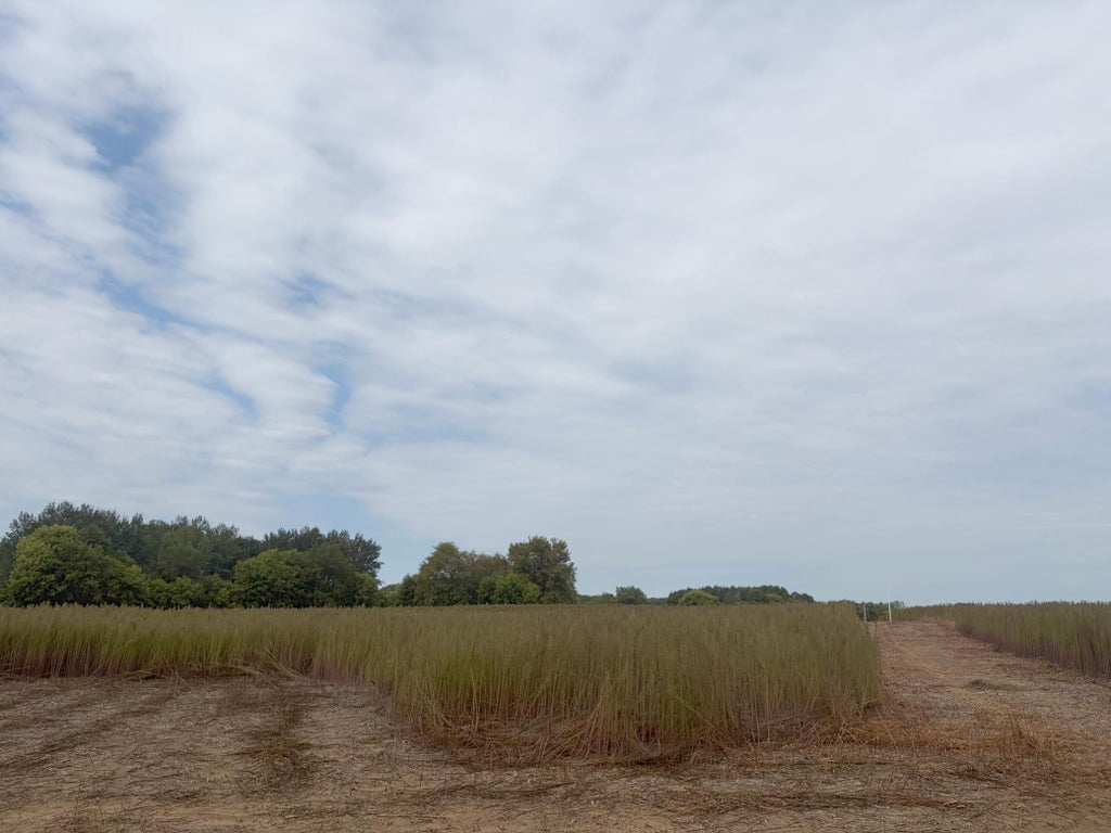 Photo of TBD (L1-SM East) 269th Avenue NW, Isanti, MN 55040 (MLS # 7150362)