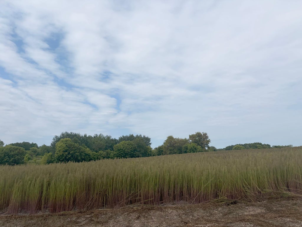 Photo of TBD (L1-SM East) 269th Avenue NW, Isanti, MN 55040 (MLS # 7150362)