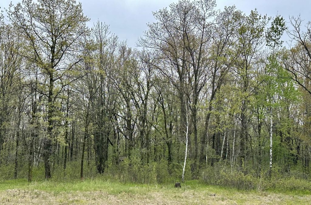 Photo of TBD Jewel Road, Little Falls, MN 56345 (MLS # 7074498)