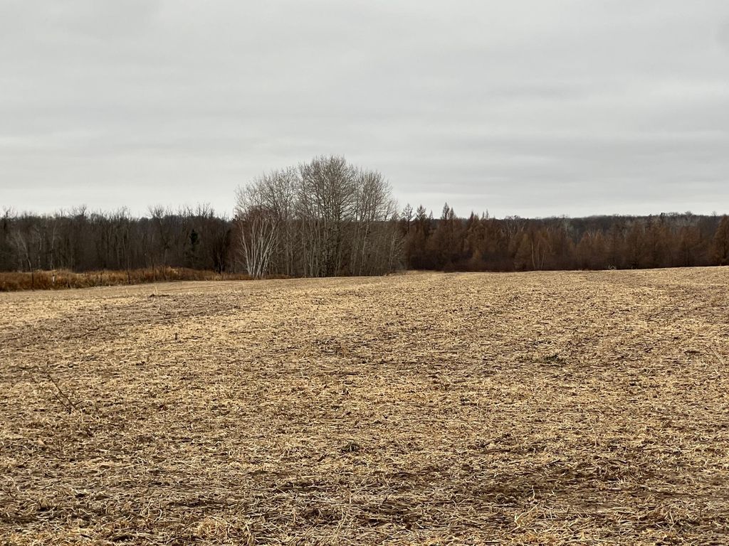 Photo of 0000 Wildwood Rd, Mission Creek Twp, MN 55007 (MLS # 6822059)