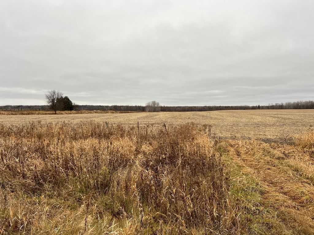 Photo of 0000 Wildwood Rd, Mission Creek Twp, MN 55007 (MLS # 6822059)
