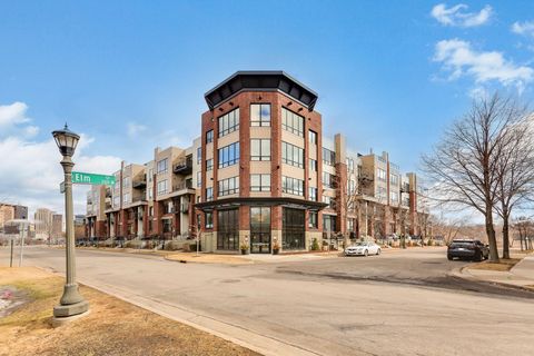 312 Spring Street 309 Saint Paul MN 55102