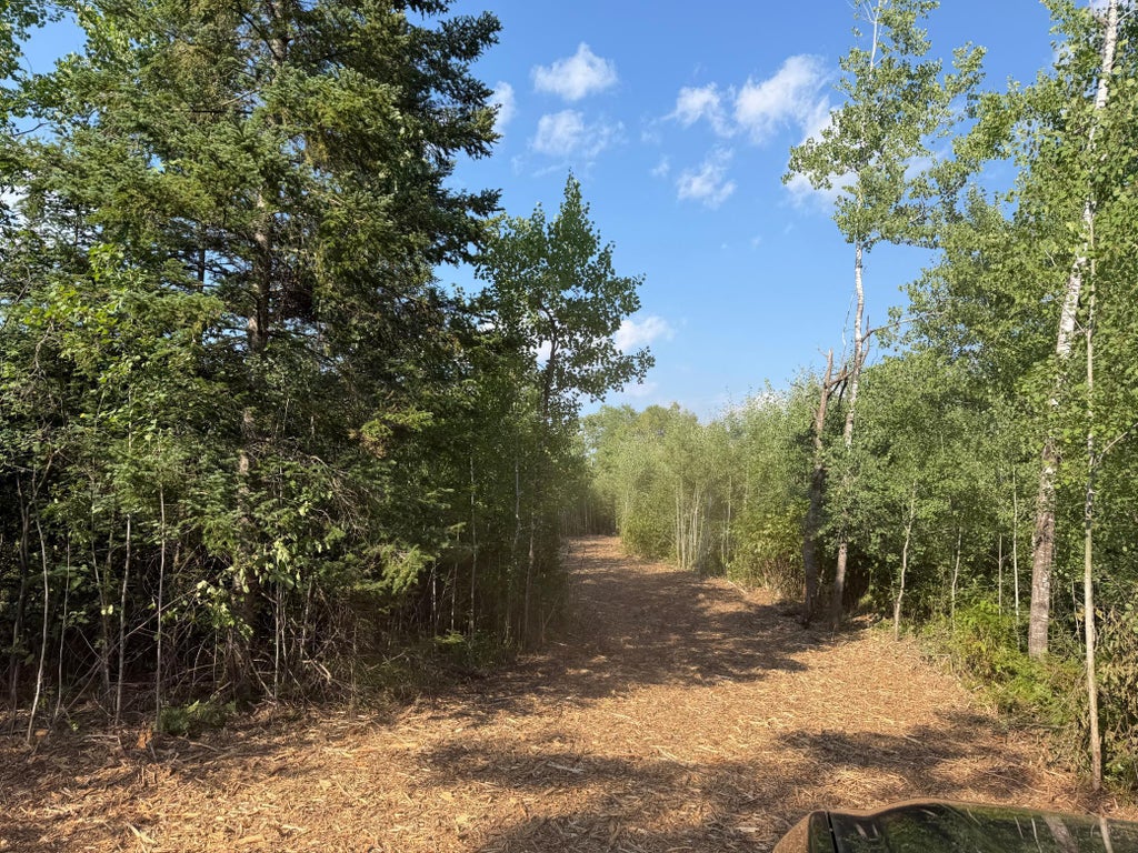 Photo of 48043 Deerfield Road Rd, Kerrick, MN 55756 (MLS # 7112713)