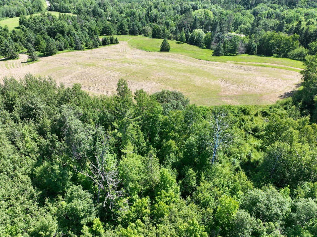 Photo of TBD Hidden Road, Akeley, MN 56433 (MLS # 7165094)