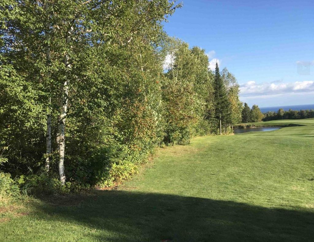 Photo of XXX Big Cedar Trl, Lutsen, MN 55612 (MLS # 7026537)