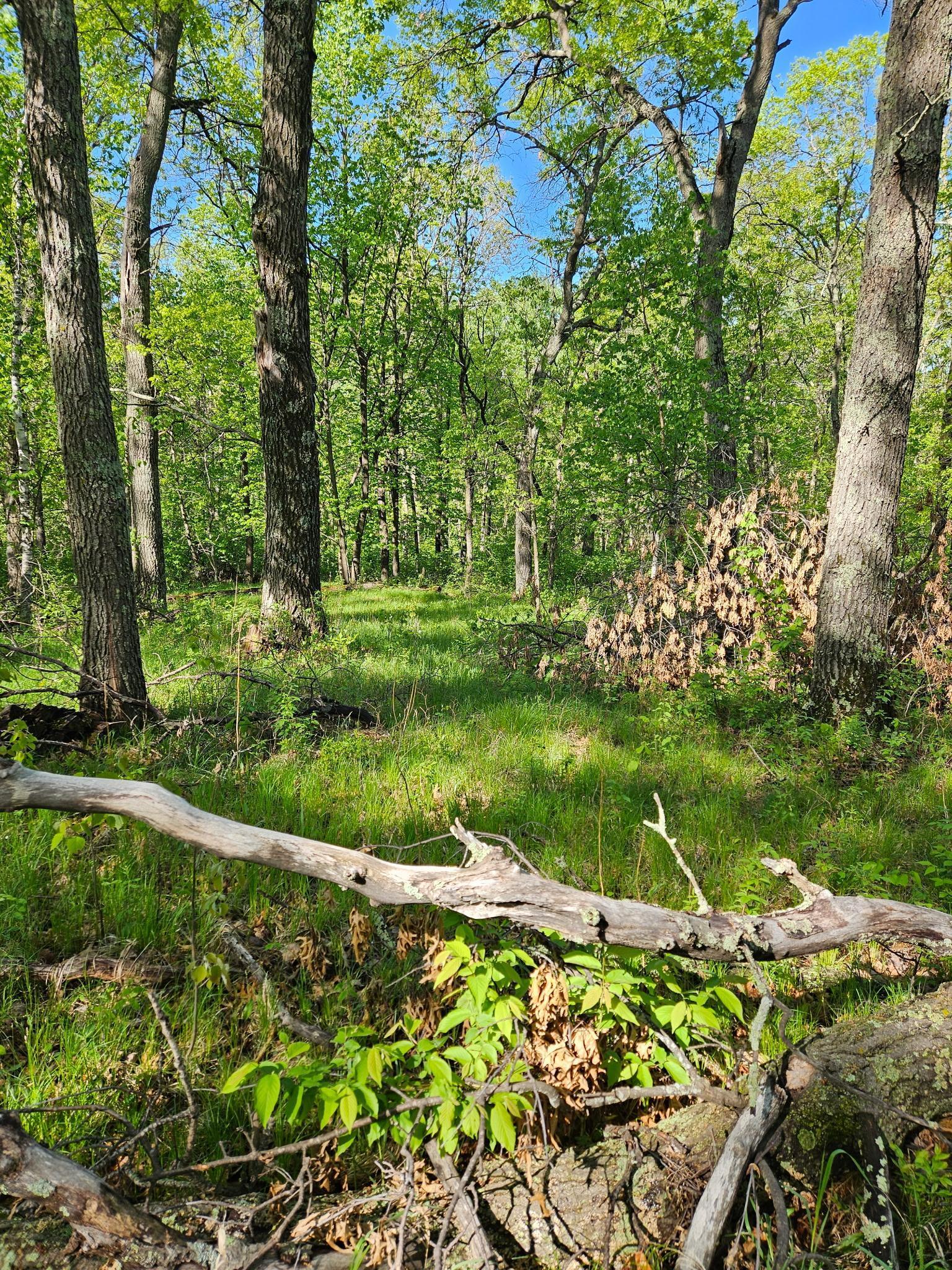 TBD Lot 49, Blk 1 HURON DR.