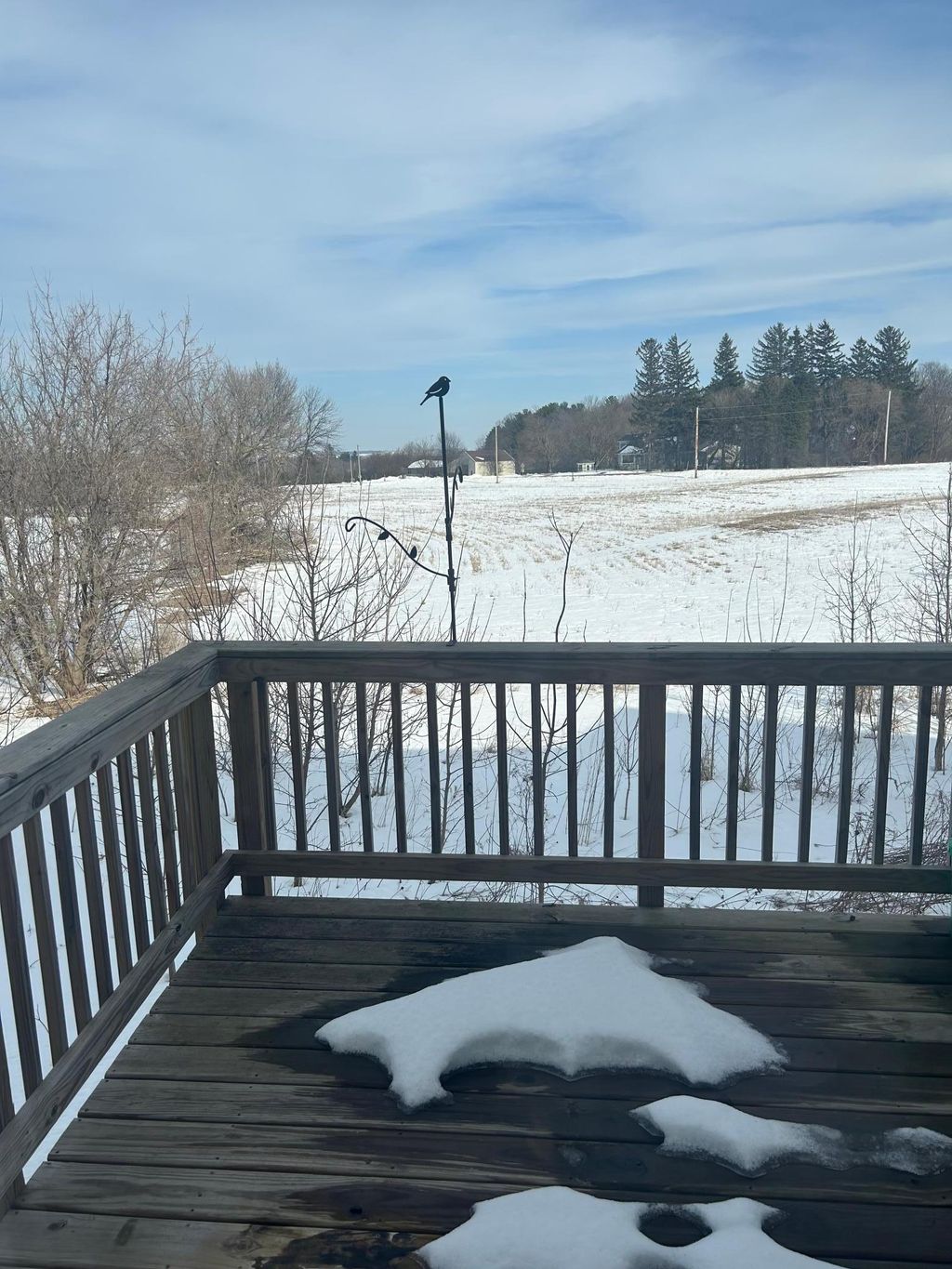 Photo of 1027 Petra Court SW Ct, Pine Island, MN 55963 (MLS # 7040292)