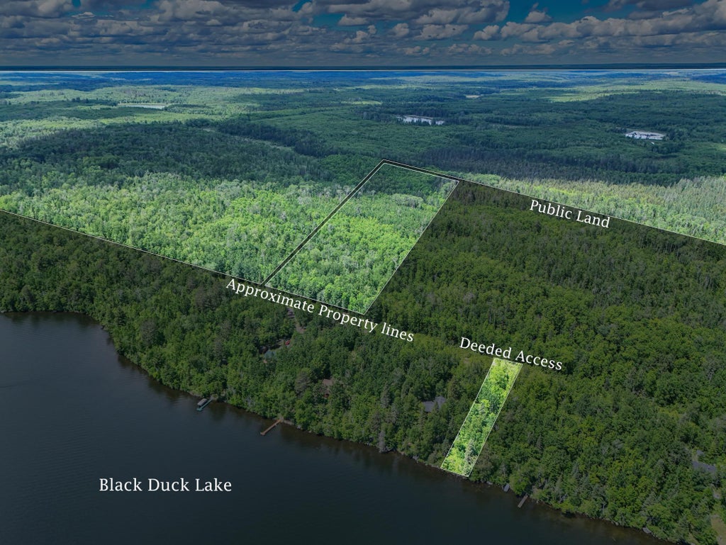 Photo of 10749 Lambert Road, Orr, MN 55771 (MLS # 7090127)