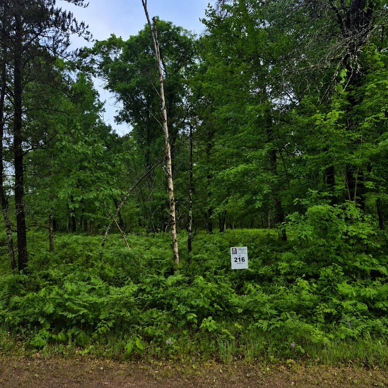 Photo 1 of 7 — Lot 216 Deerpath Road, Danbury, WI 54830