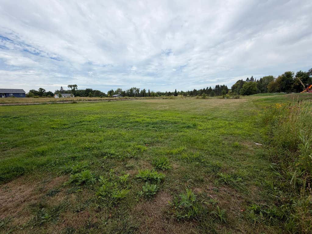 Photo of 7532 Balsam Street, Bruno, MN 55712 (MLS # 7132764)