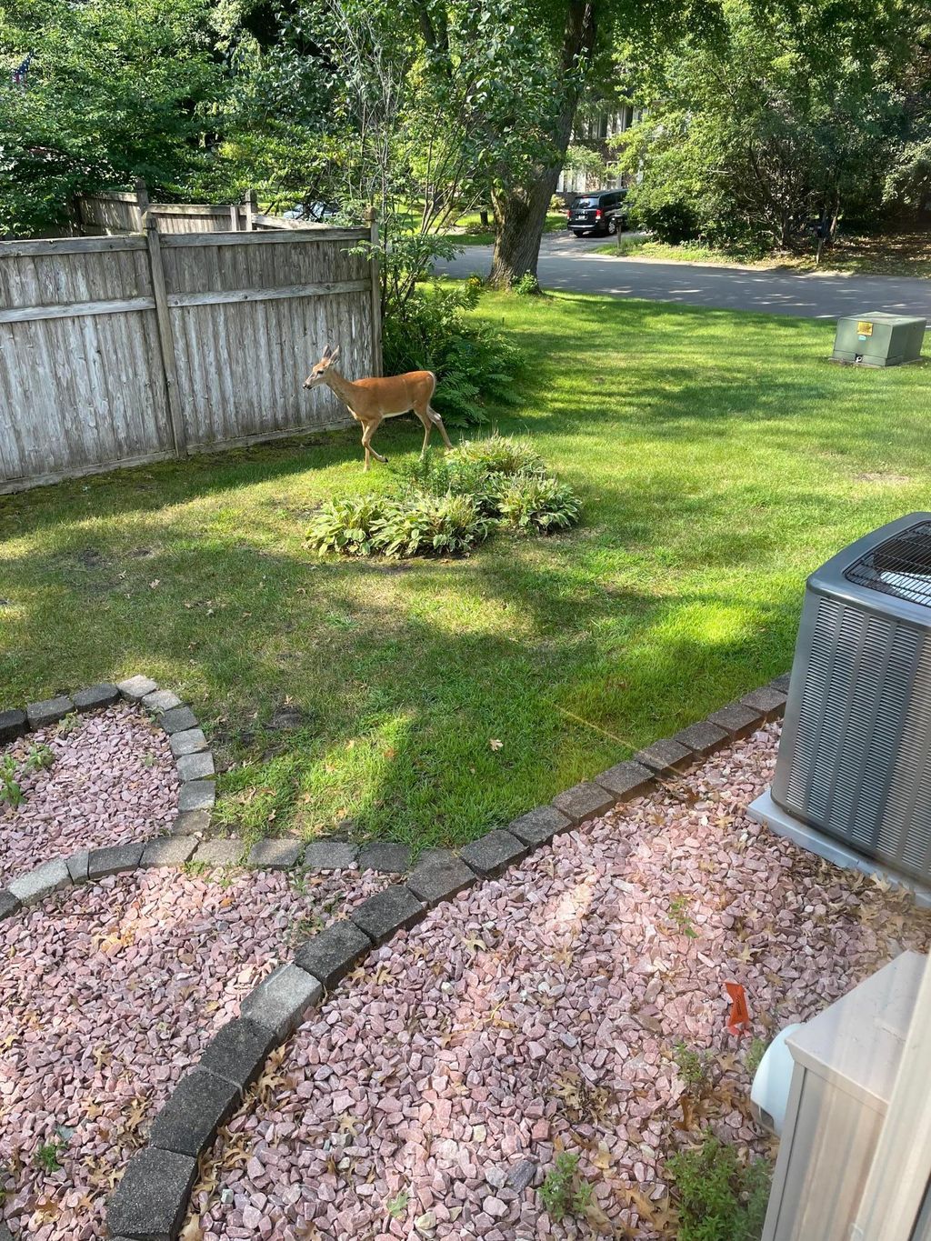 Photo of 4687 Parkridge Drive, Eagan, MN 55123 (MLS # 7000766)