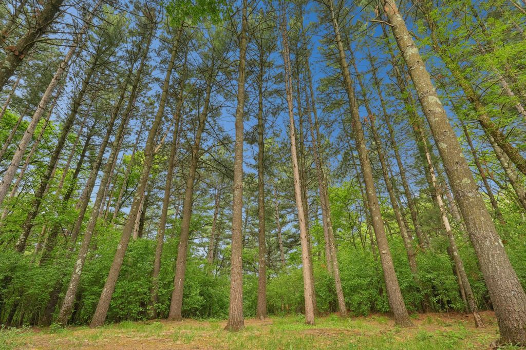 Photo of 350 Blue Spruce Lane, Somerset, WI 54025 (MLS # 7080394)