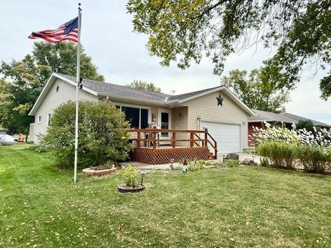 Photo of 305 Oak Street, Lucan, MN 56255 (MLS # 6797069)