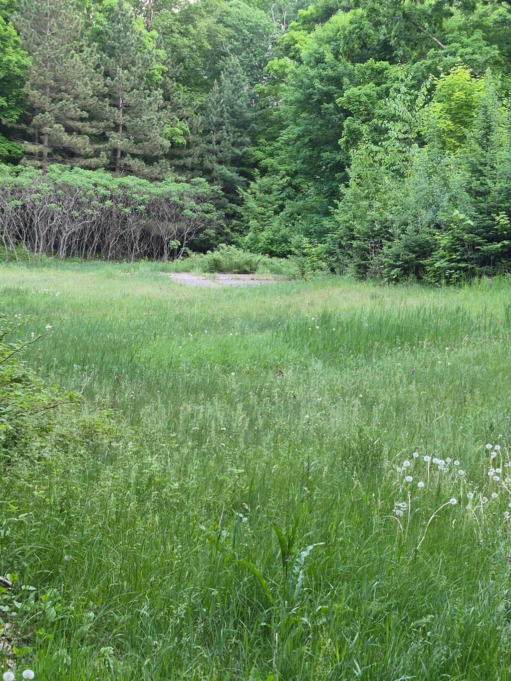 Photo of TBD Lots 313, 350, 3 195th Place, McGregor, MN 55760 (MLS # 7096126)