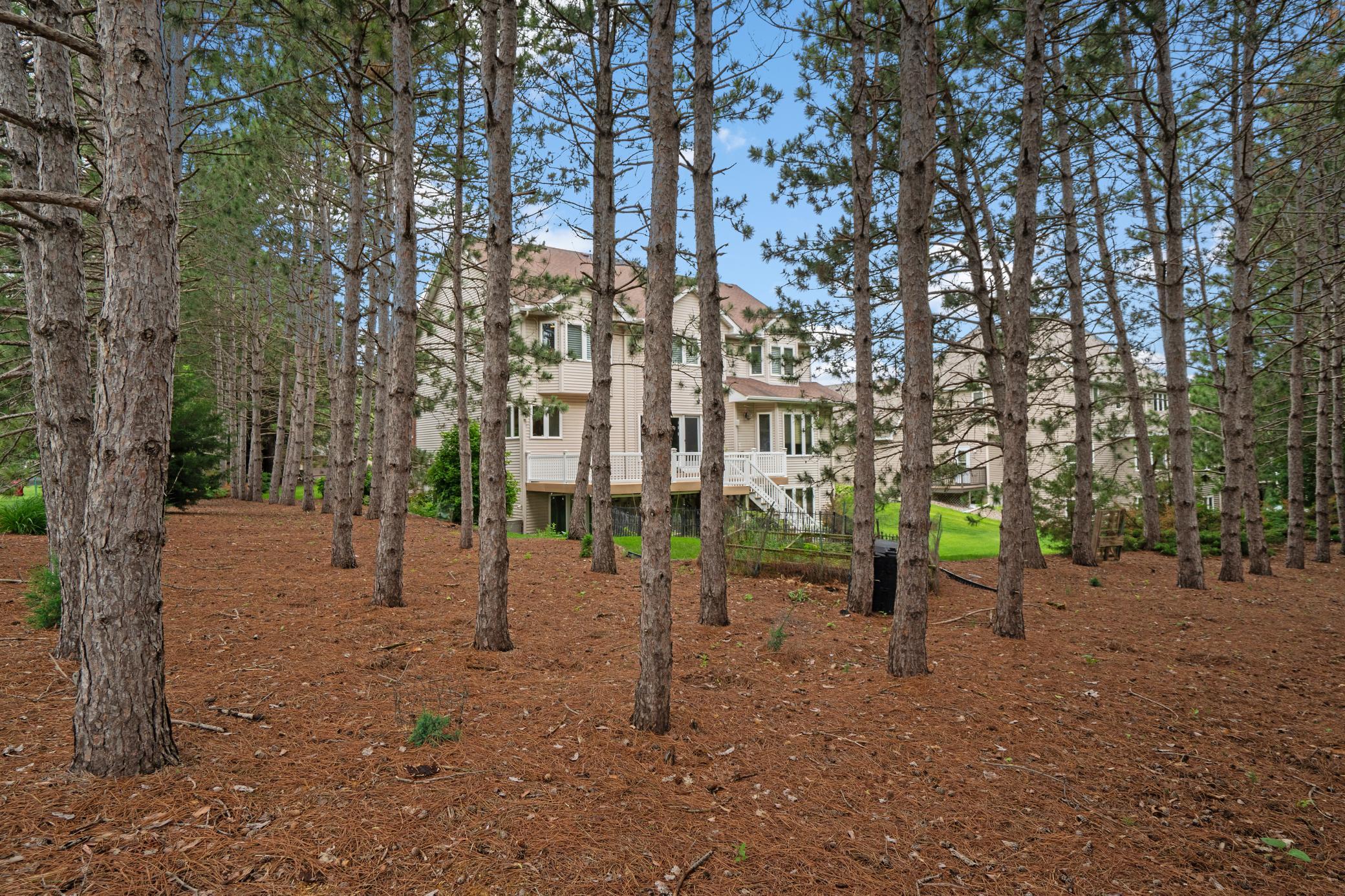 8197 Drexel Court