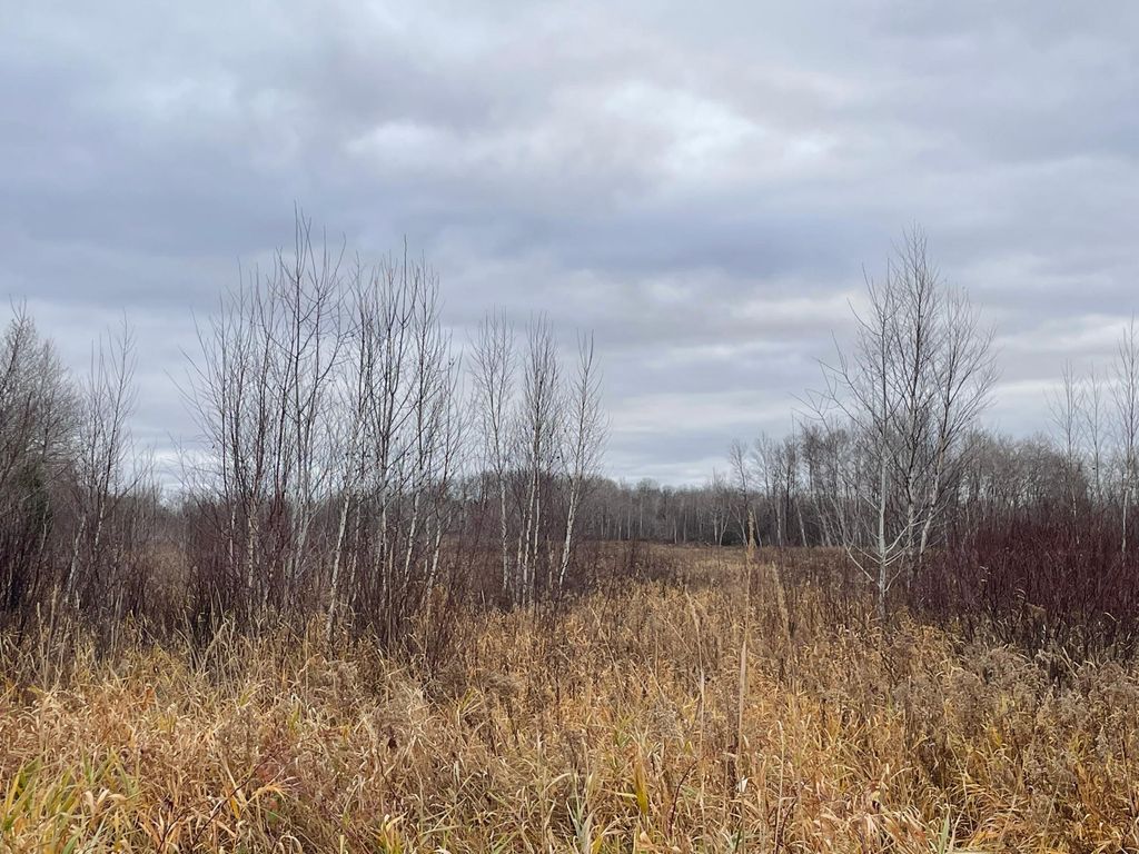 Photo of TBD Olson Road, Hinckley, MN 55037 (MLS # 6820986)