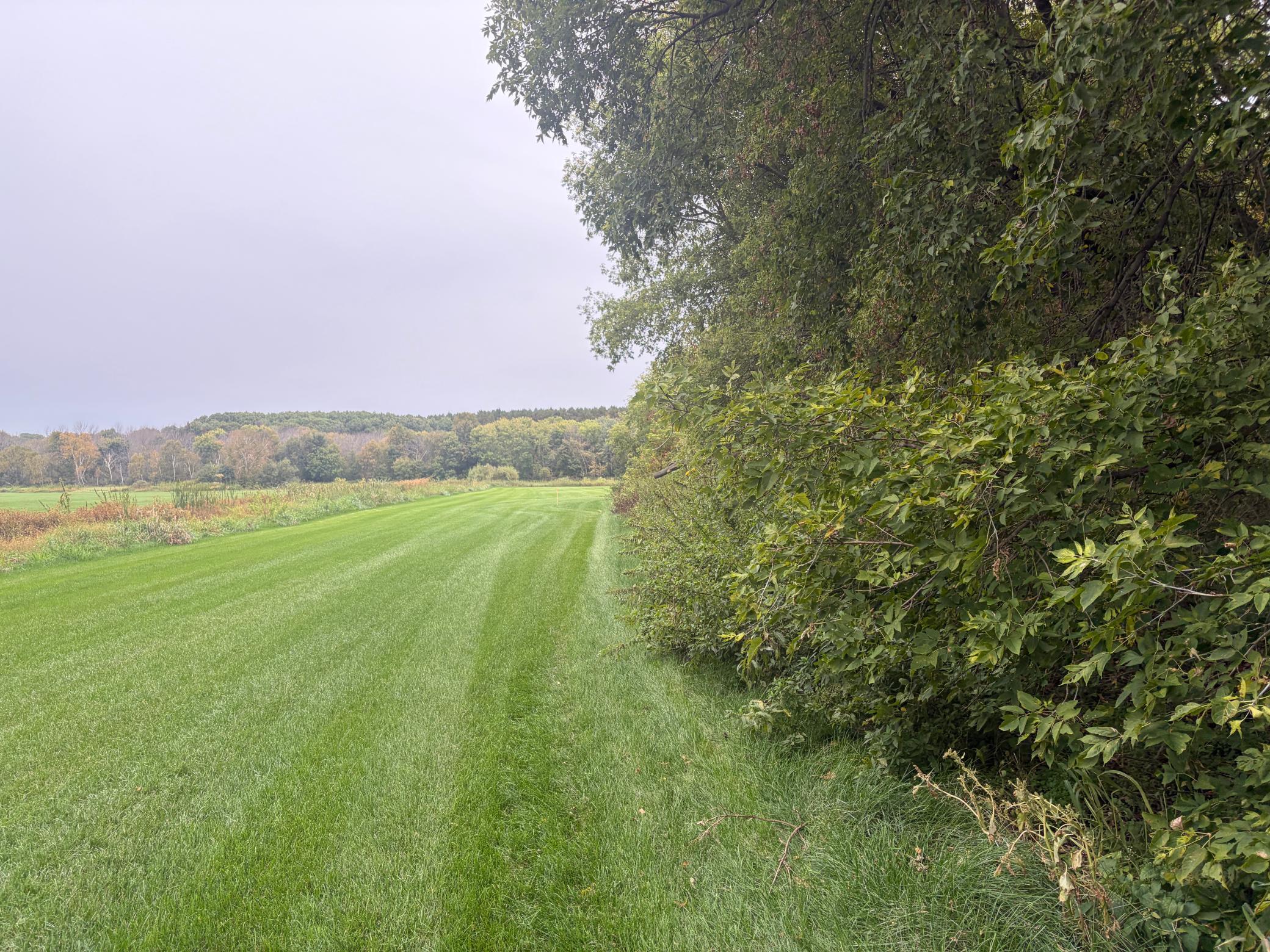 TBD County Road 4