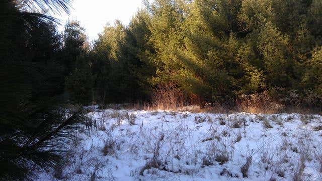 Photo of 617 193rd Avenue, Somerset, WI 54025 (MLS # 7125001)