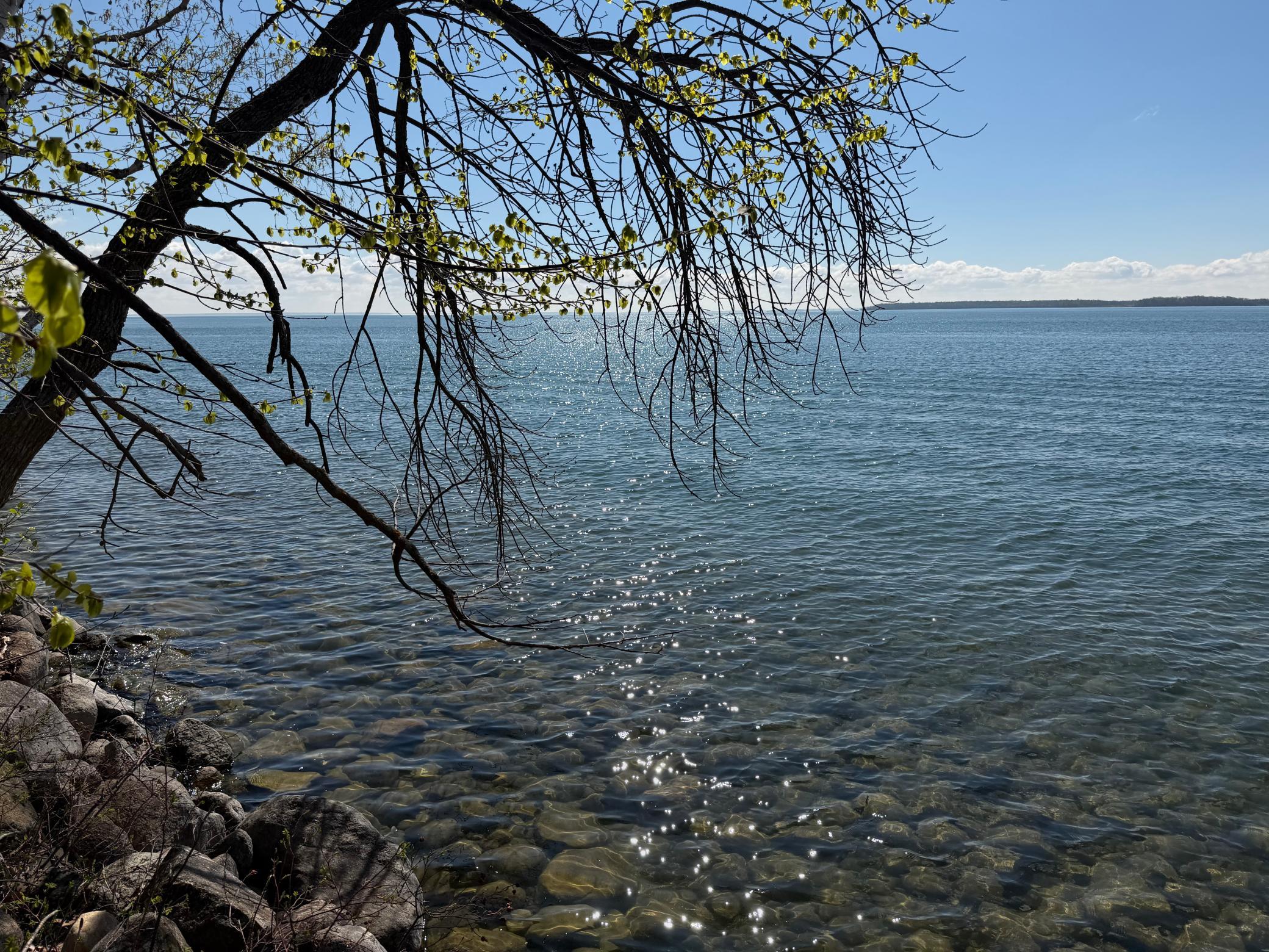 TBD Pine Point Drive