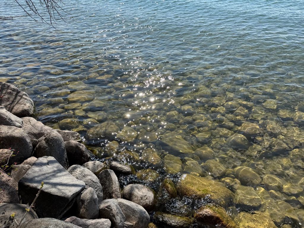 Photo of TBD Pine Point Drive, Walker, MN 56484 (MLS # 7078625)