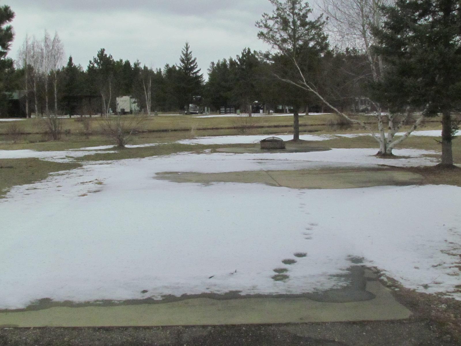 28668 Lot 94 Hurtig Road