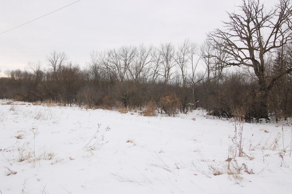 Photo of 92xx Howard Lake Drive NE, Columbus, MN 55025 (MLS # 7000442)