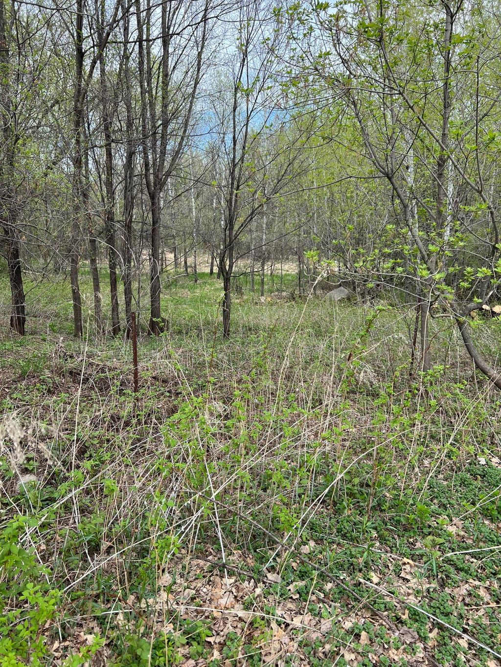 Photo of TBD Maple Street N, Royalton, MN 56373 (MLS # 7059021)