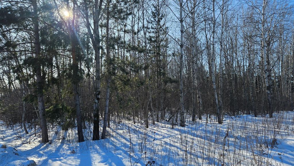 Photo of TBD Oak Street, Brainerd, MN 56401 (MLS # 7012466)