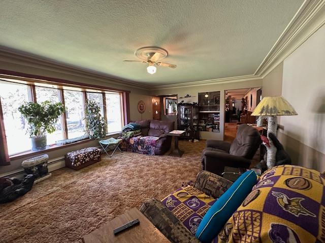 21188 State Highway 65