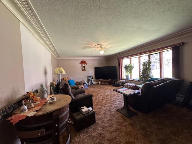 21188 State Highway 65
